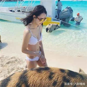 英语教师柳妍儿1一5
